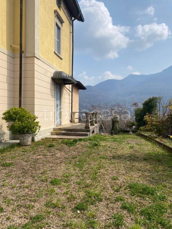 immagine annuncio 9 di 12