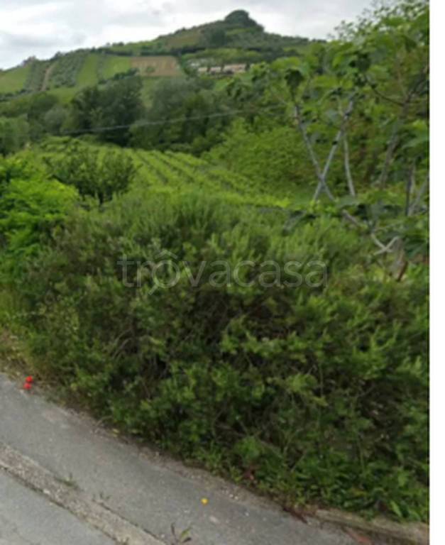 immagine annuncio 1 di 9