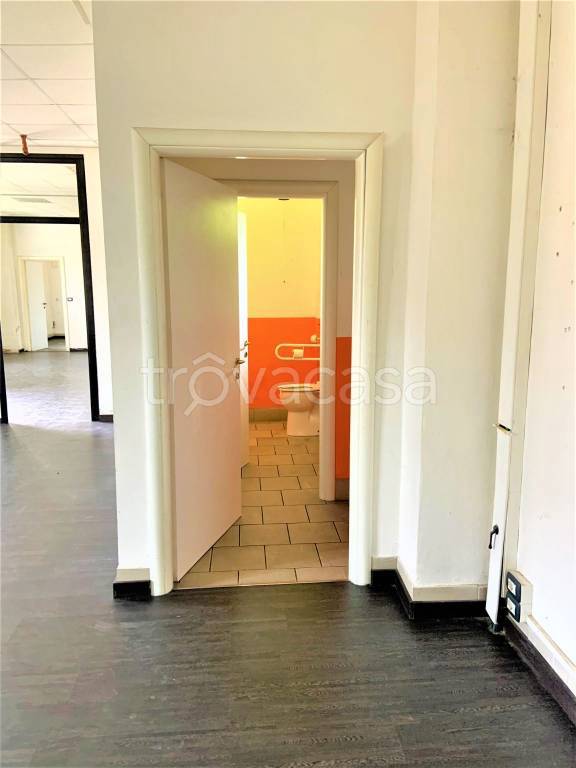 immagine annuncio 4 di 8