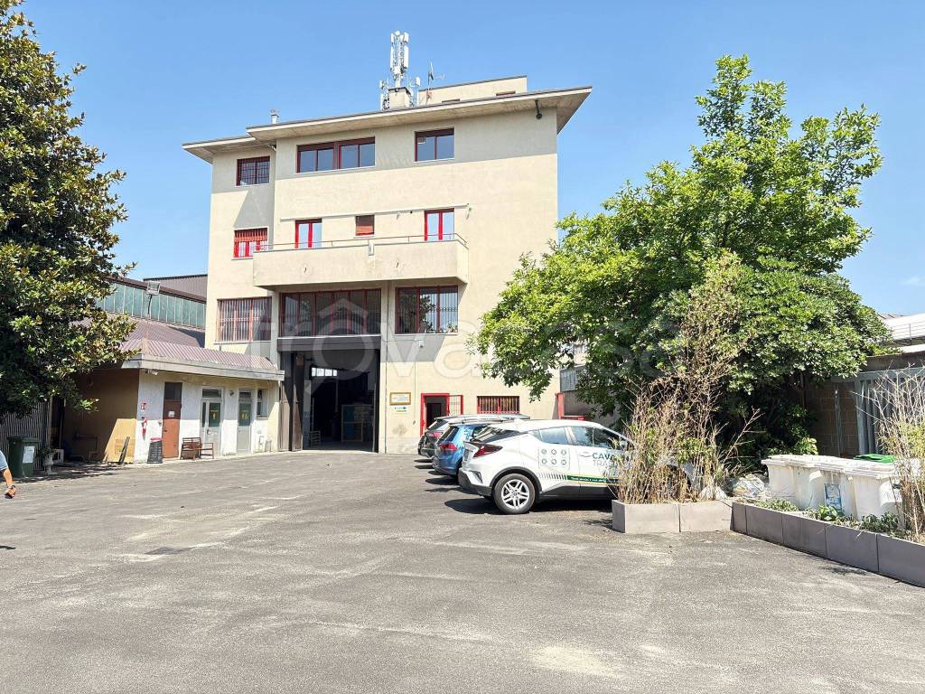 immagine annuncio 3 di 15