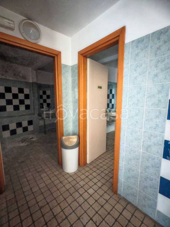 immagine annuncio 9 di 14