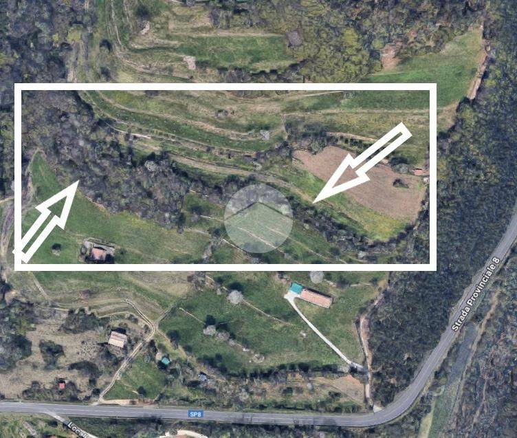 immagine annuncio 1 di 9