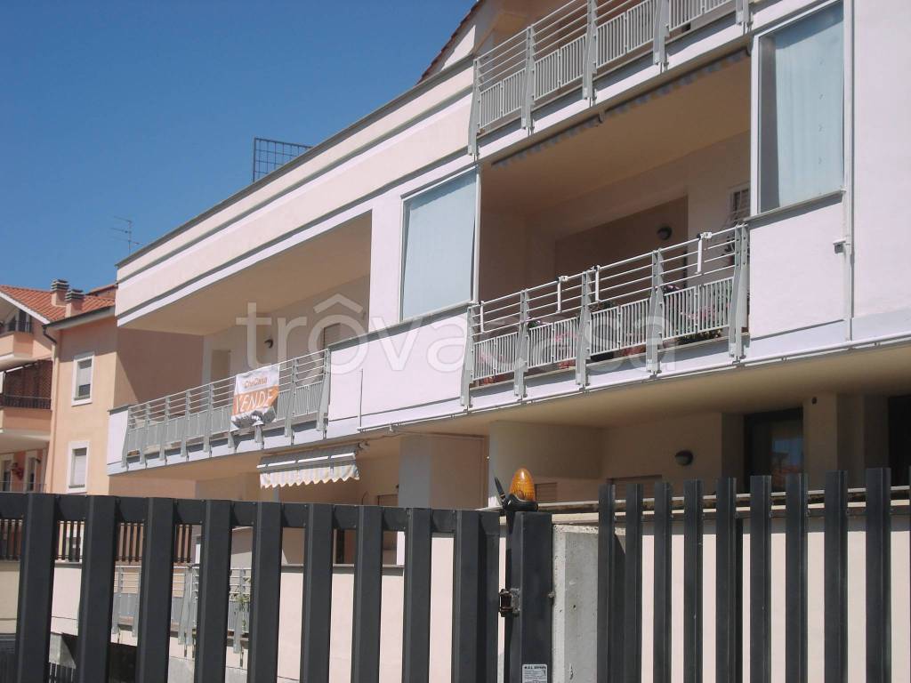 immagine annuncio 5 di 15