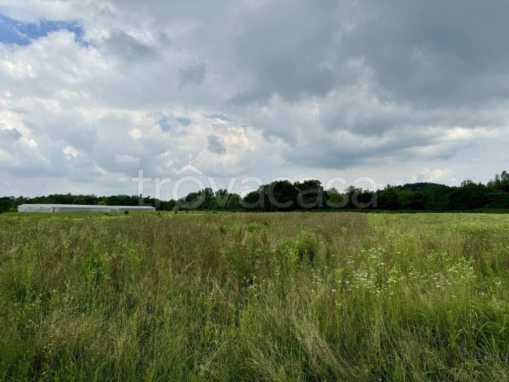 immagine annuncio 1 di 3