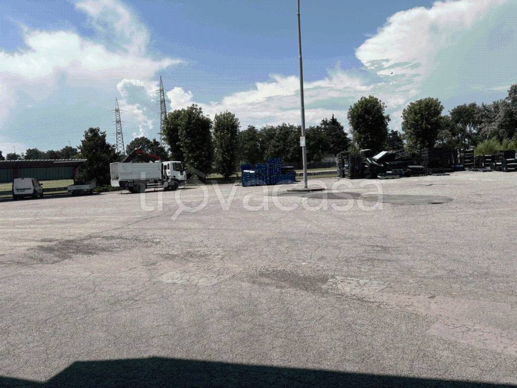 immagine annuncio 5 di 14