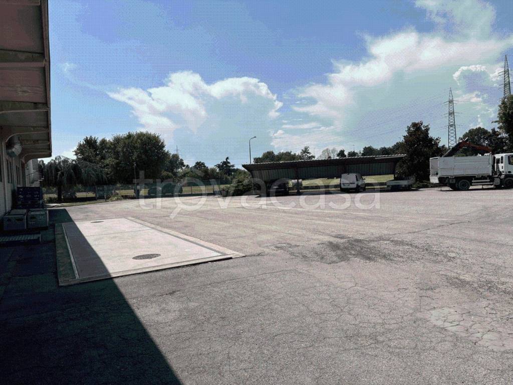 immagine annuncio 7 di 14