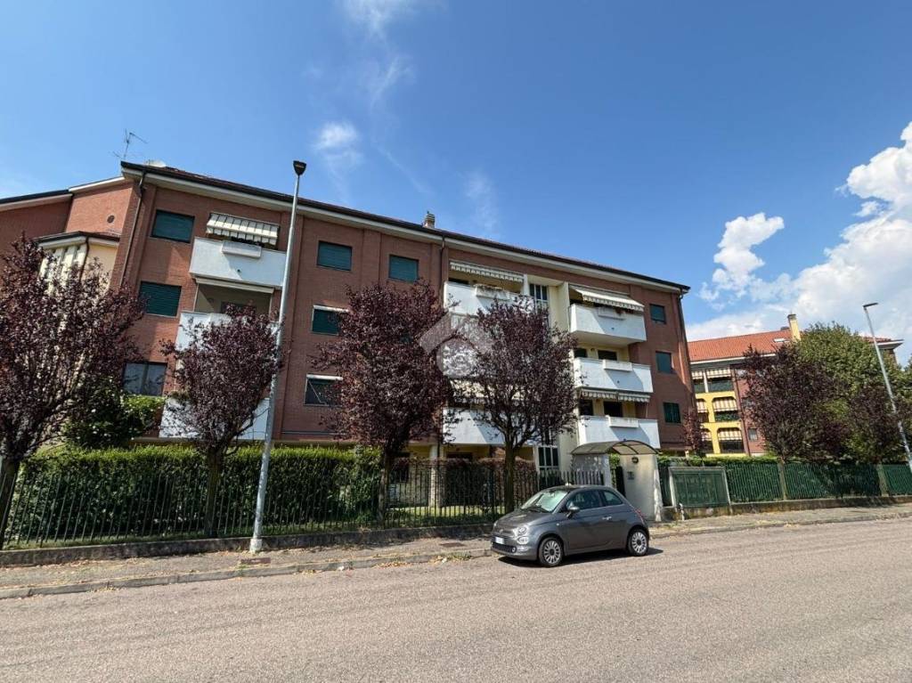 immagine annuncio 1 di 15