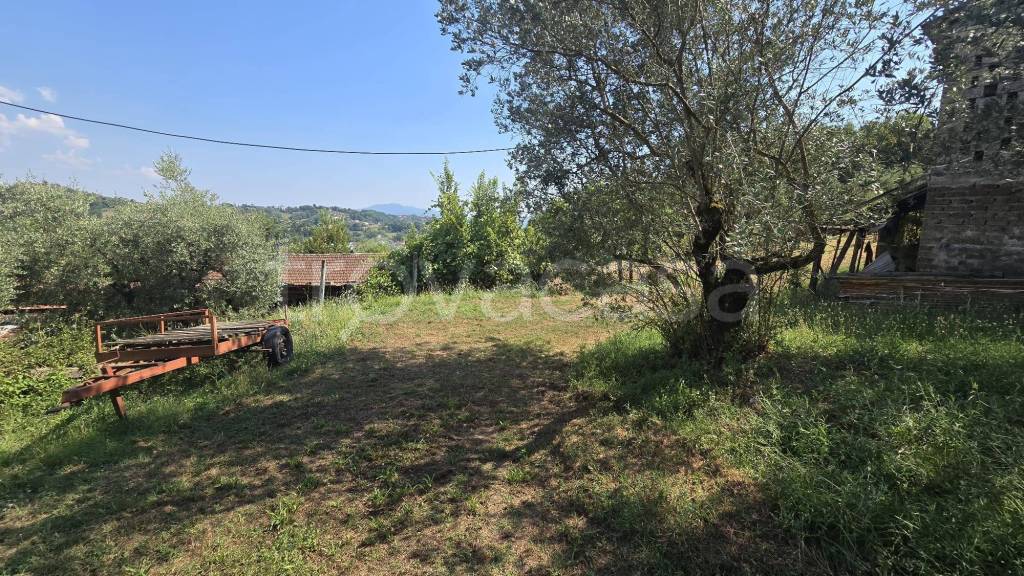 immagine annuncio 1 di 7