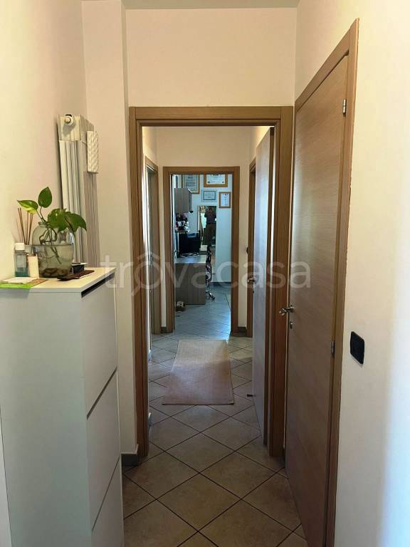 immagine annuncio 6 di 14