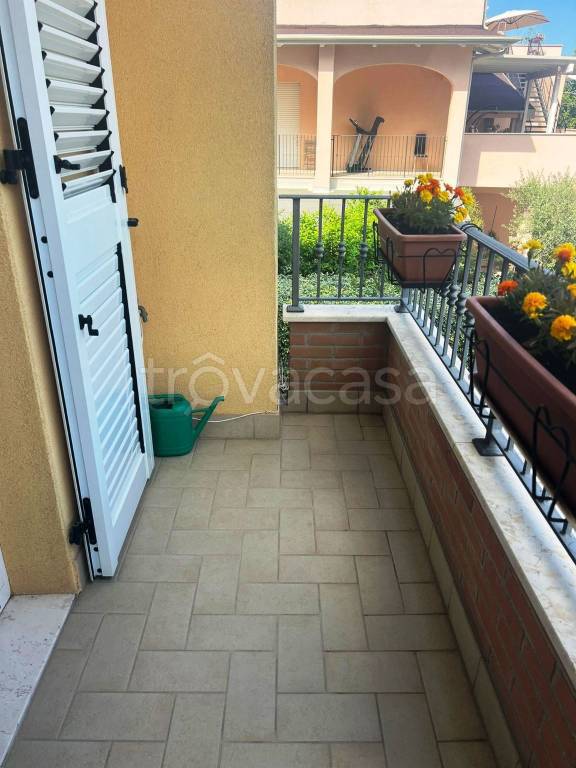 immagine annuncio 11 di 14