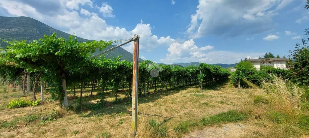 immagine annuncio 1 di 7