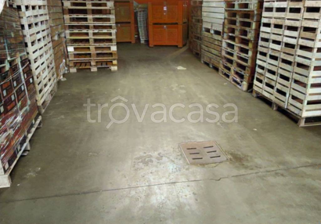 immagine annuncio 4 di 11