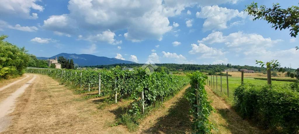 immagine annuncio 1 di 9