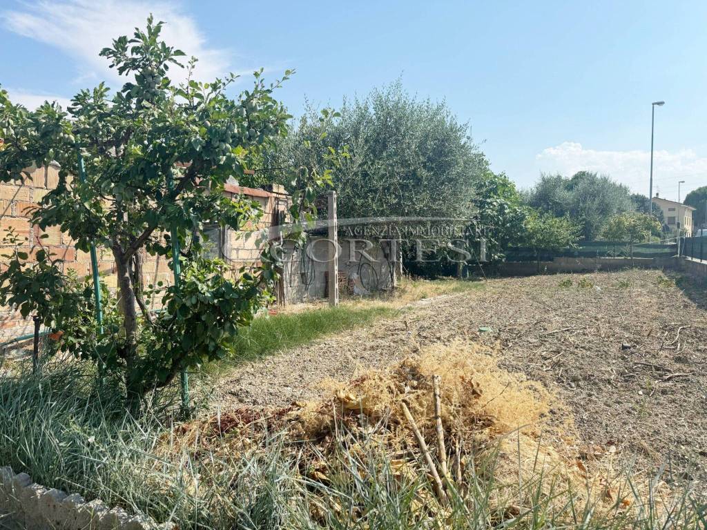 immagine annuncio 12 di 14