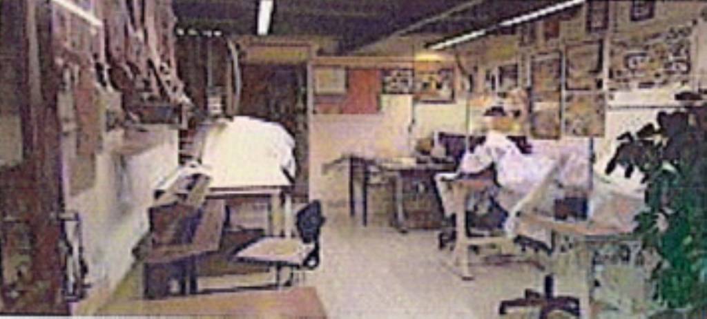 immagine annuncio 9 di 10