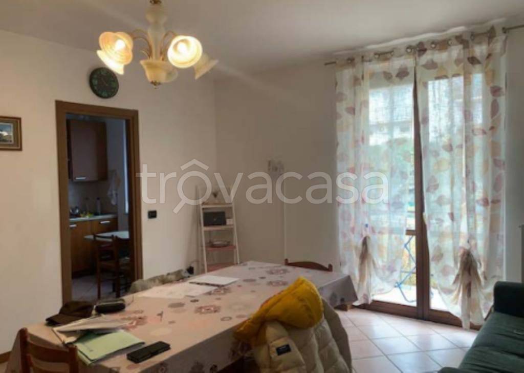 immagine annuncio 12 di 14