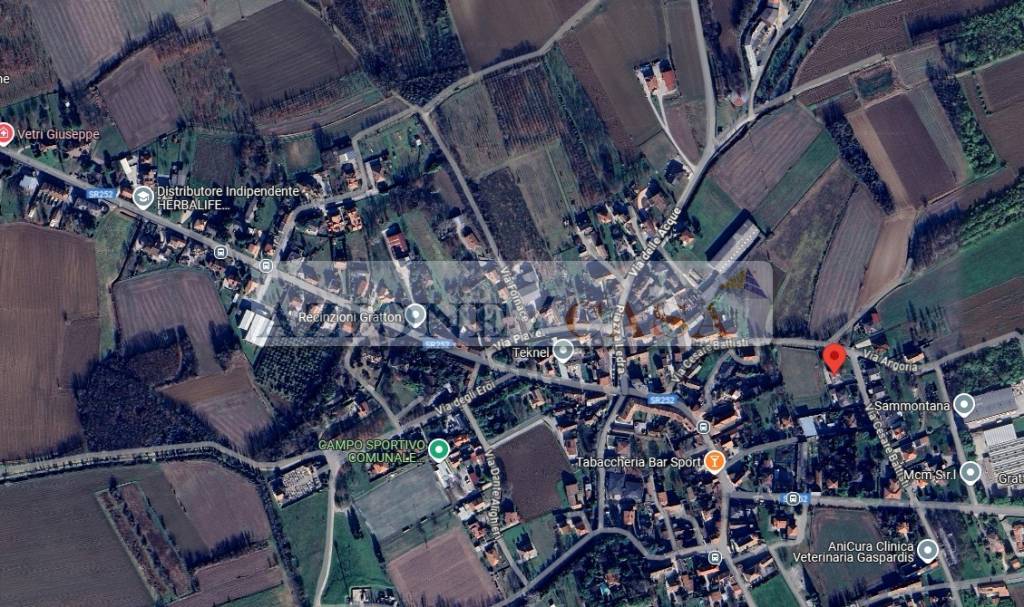 immagine annuncio 6 di 13
