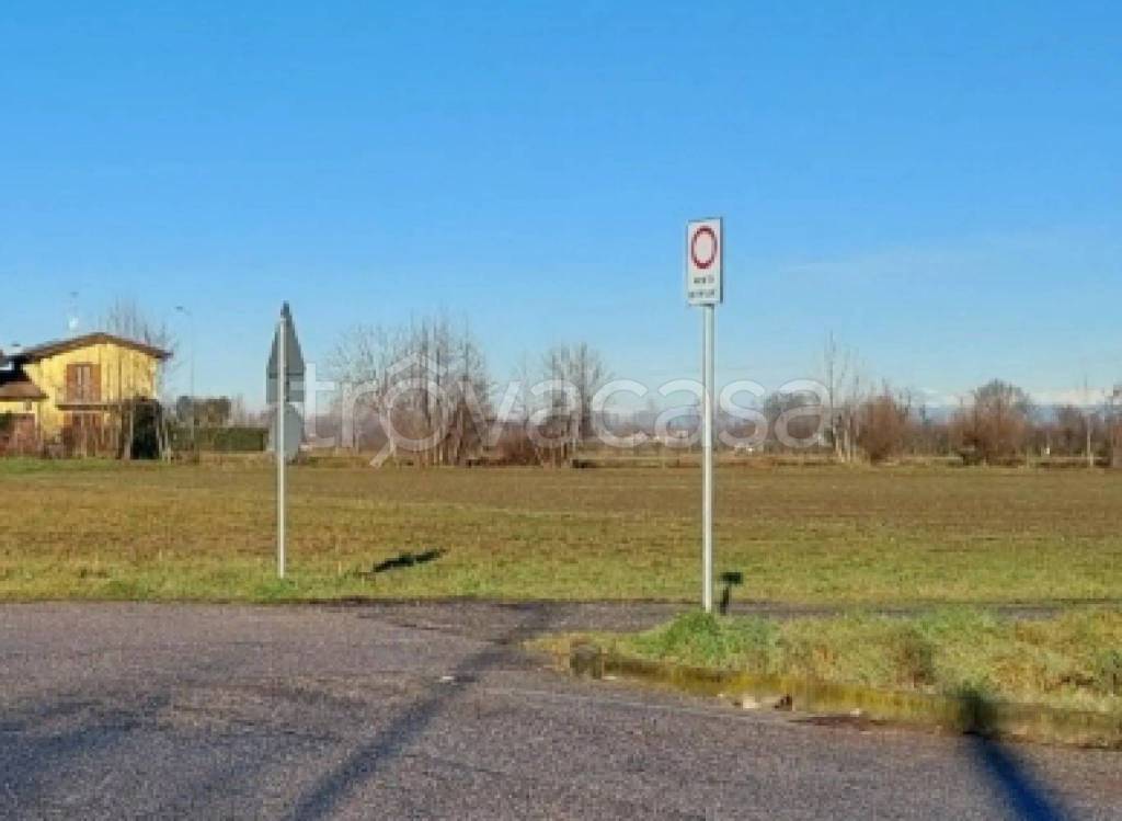 immagine annuncio 4 di 11