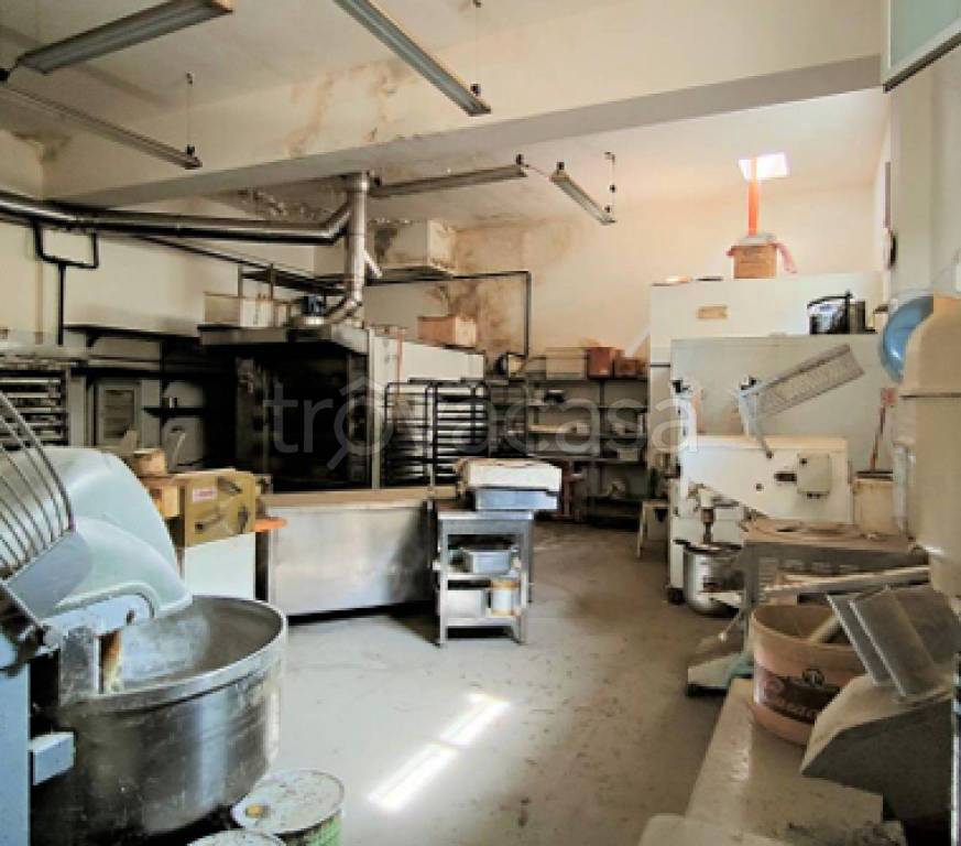 immagine annuncio 6 di 11