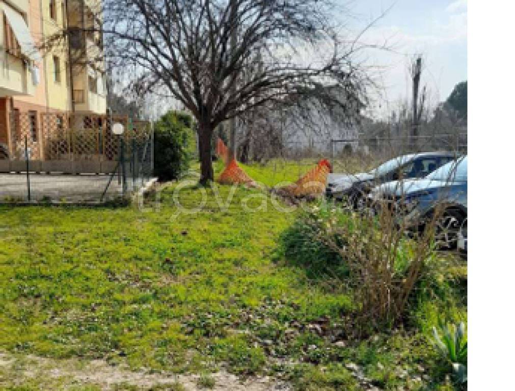 immagine annuncio 3 di 11