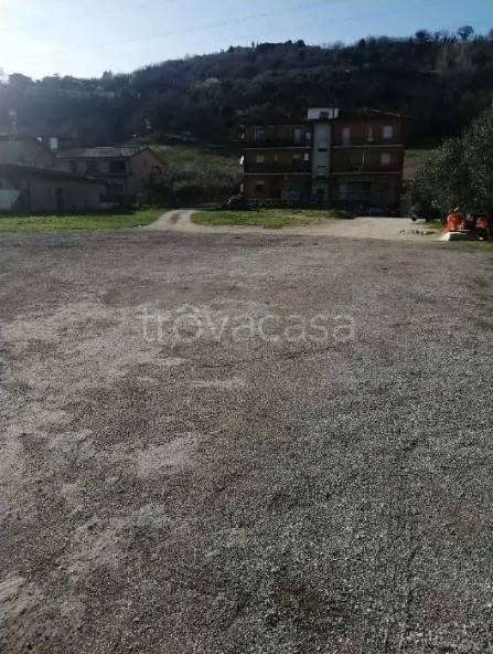 immagine annuncio 1 di 2