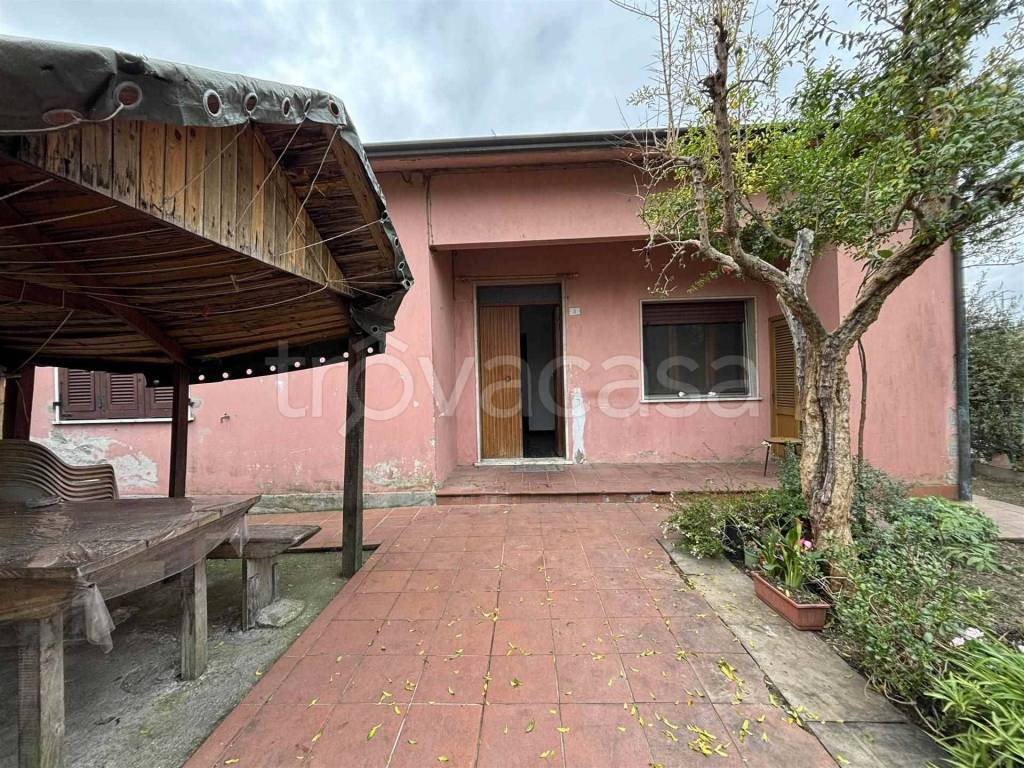 immagine annuncio 2 di 12