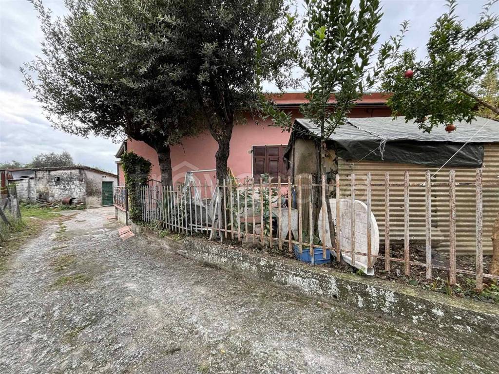 immagine annuncio 4 di 12