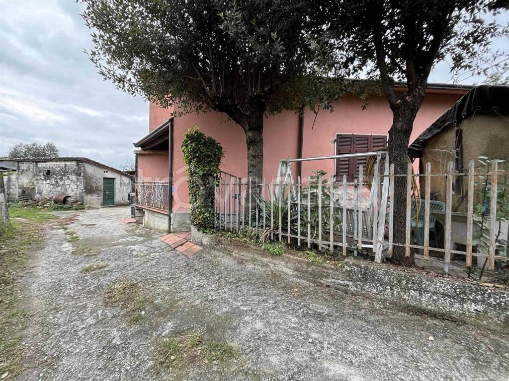 immagine annuncio 5 di 12