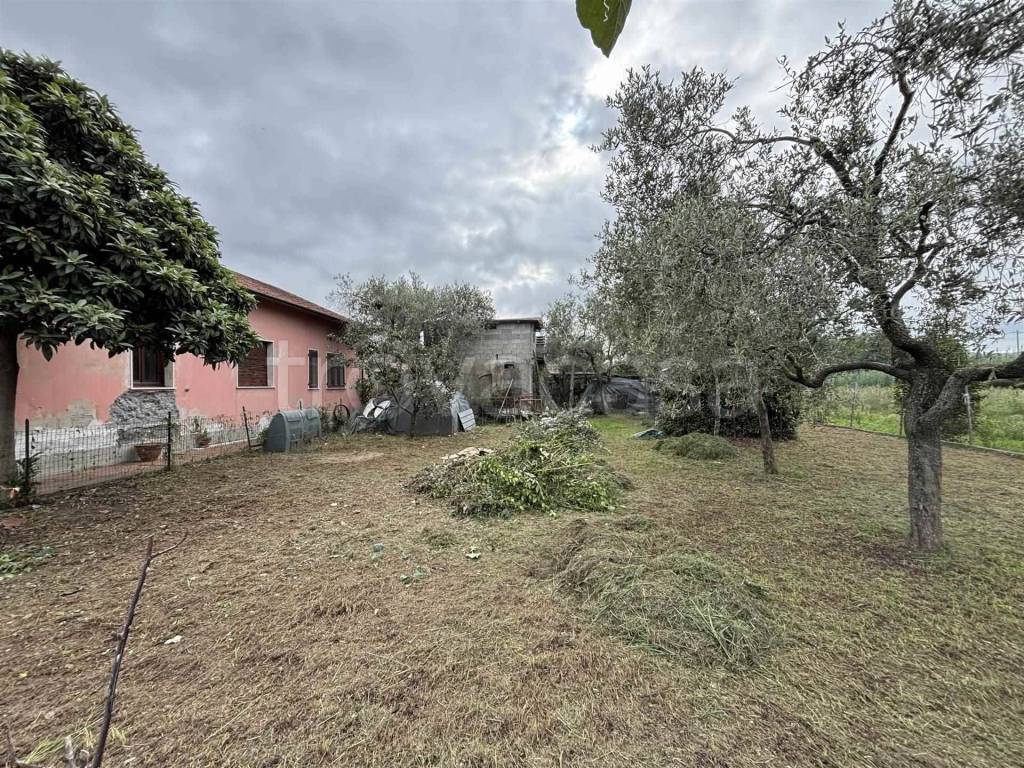 immagine annuncio 6 di 12
