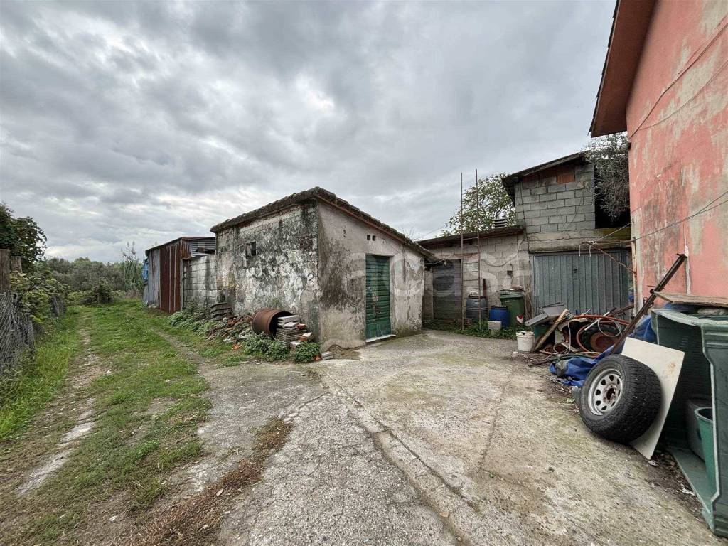 immagine annuncio 8 di 12