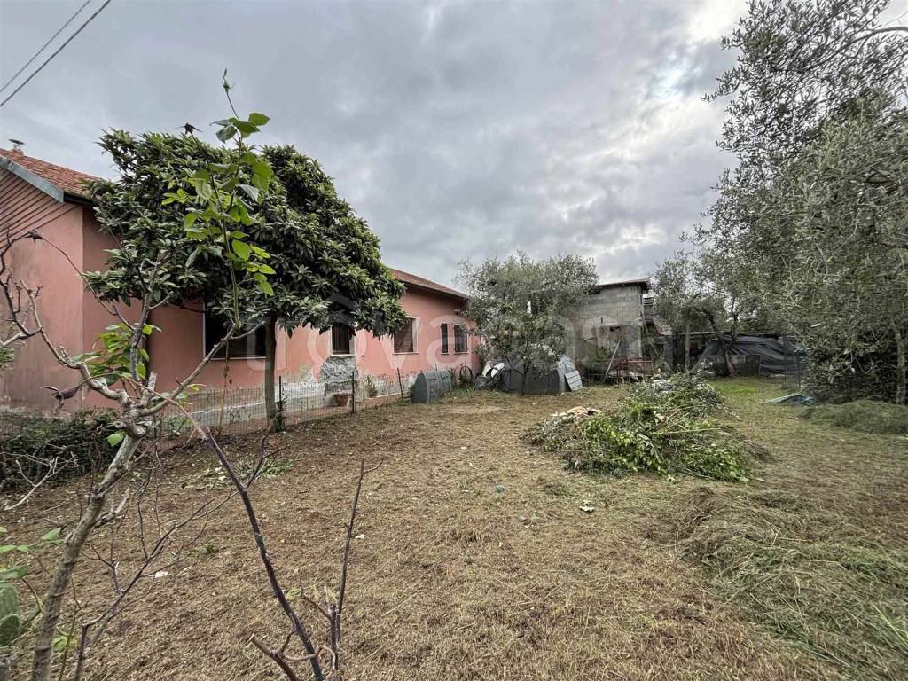 immagine annuncio 9 di 12