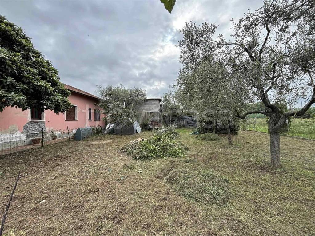 immagine annuncio 11 di 12