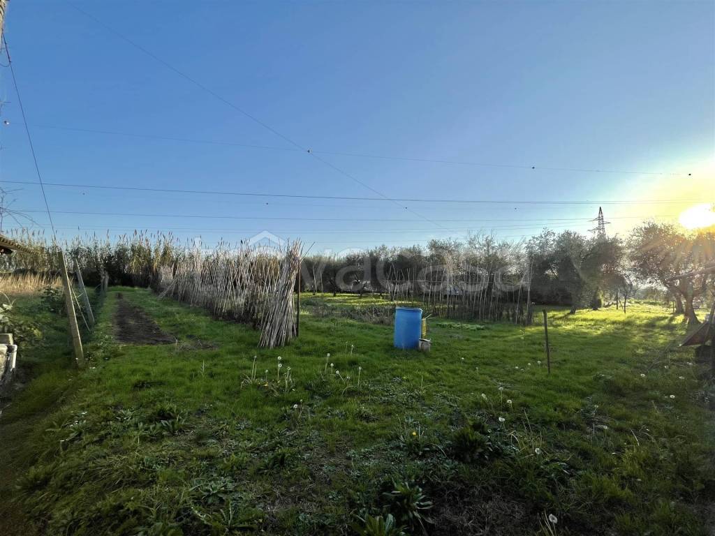 immagine annuncio 6 di 11