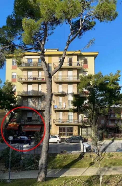 immagine annuncio 3 di 6