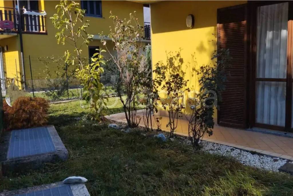 immagine annuncio 1 di 14