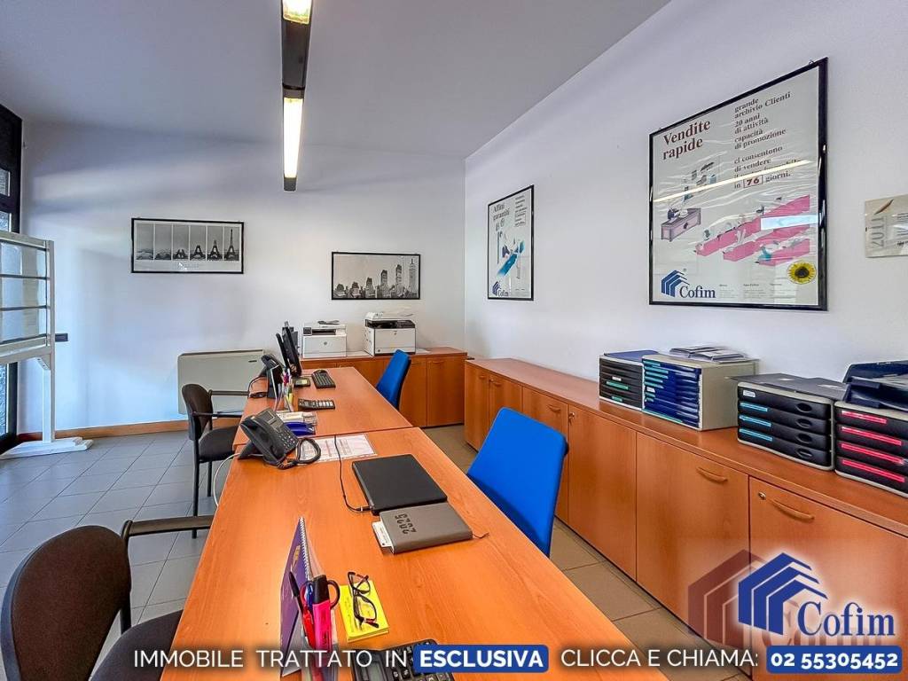 immagine annuncio 2 di 12