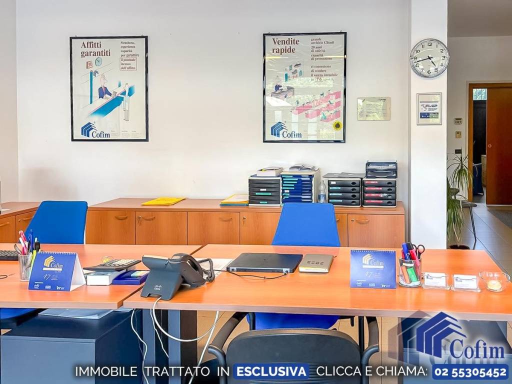 immagine annuncio 3 di 12