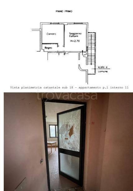 immagine annuncio 12 di 15
