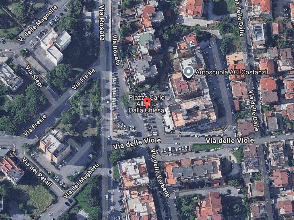 immagine annuncio 1 di 11
