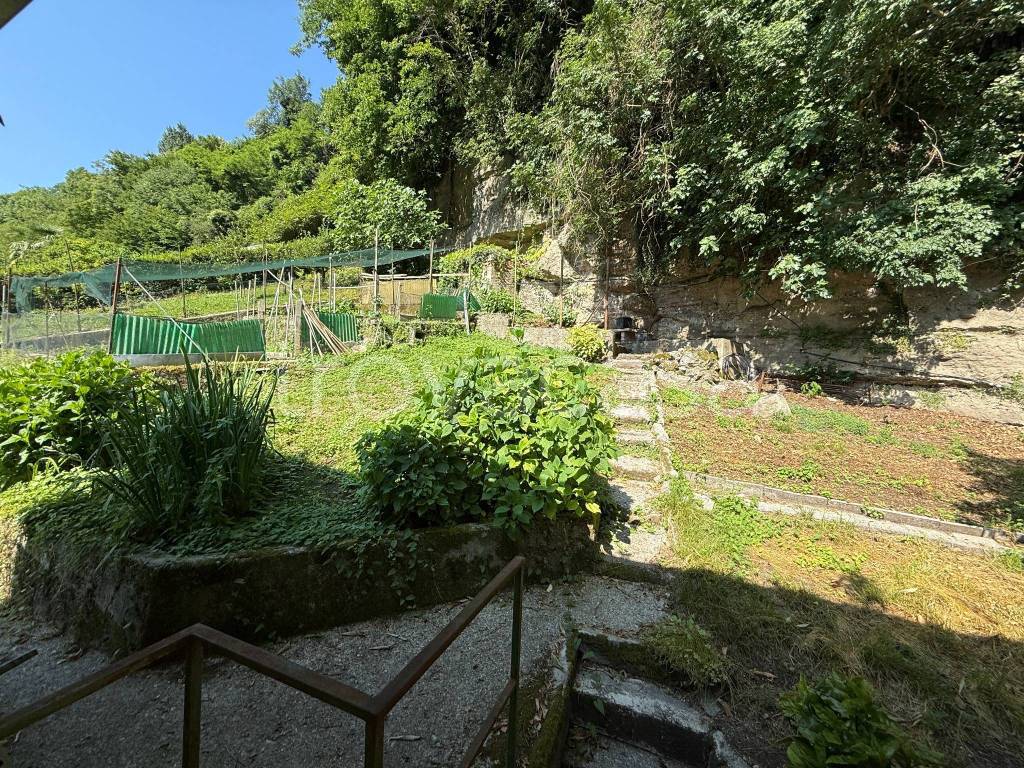immagine annuncio 2 di 8