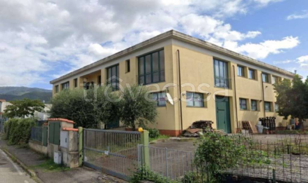 immagine annuncio 2 di 4