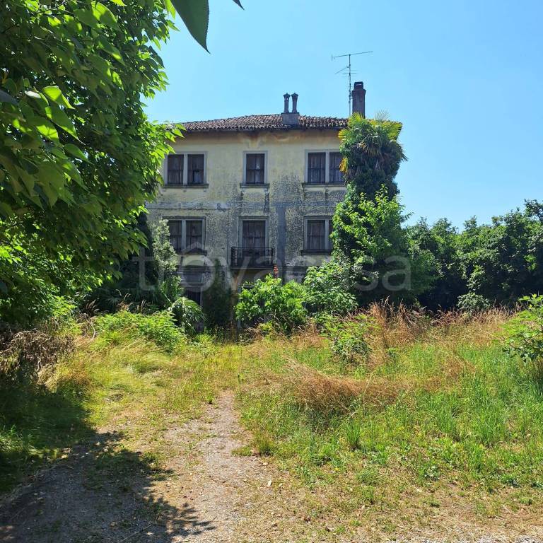immagine annuncio 1 di 6