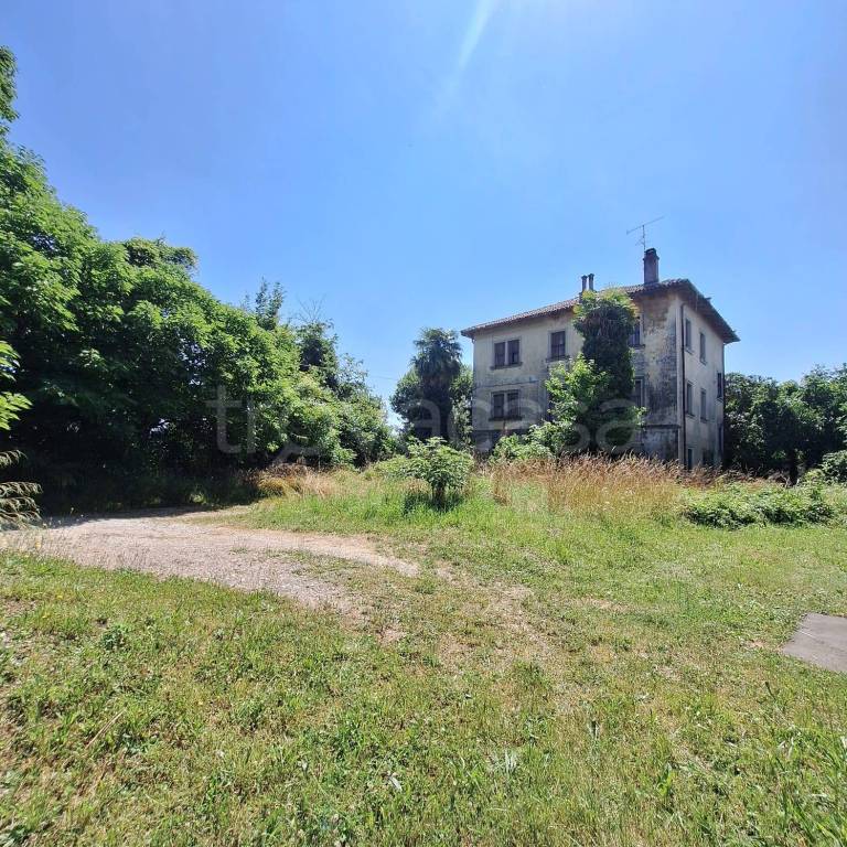 immagine annuncio 2 di 6