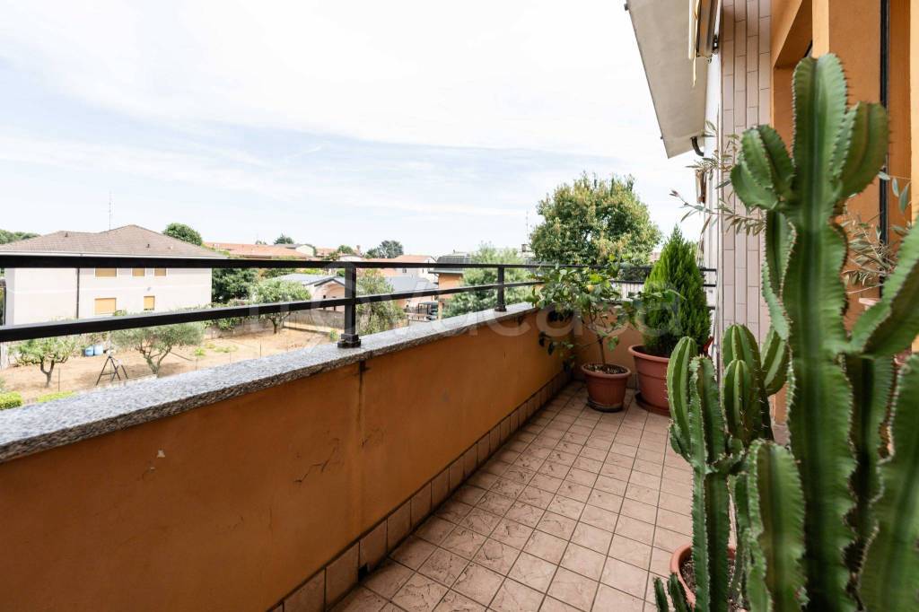 immagine annuncio 9 di 15