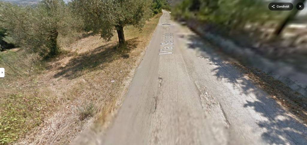 immagine annuncio 3 di 9