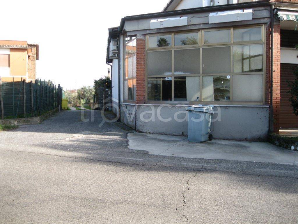 immagine annuncio 2 di 13