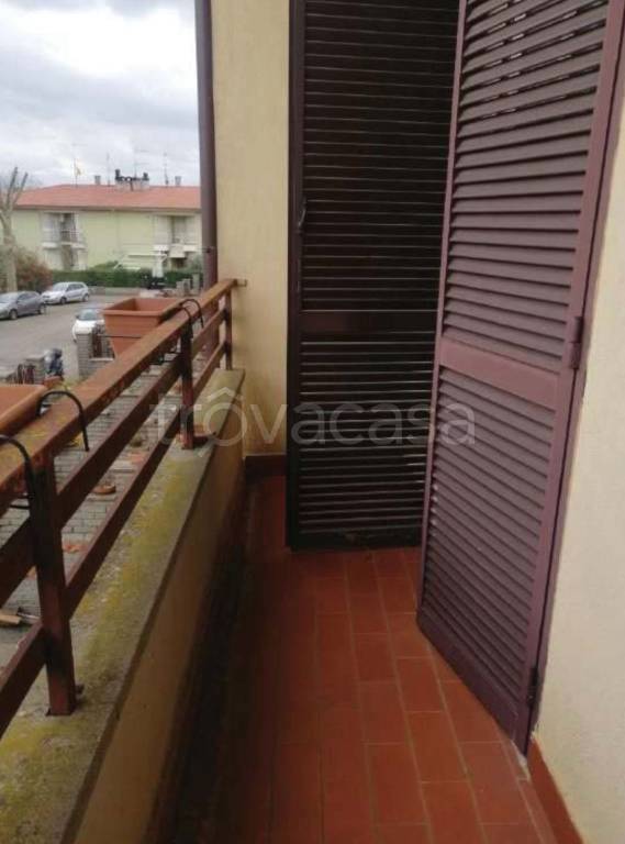 immagine annuncio 11 di 14