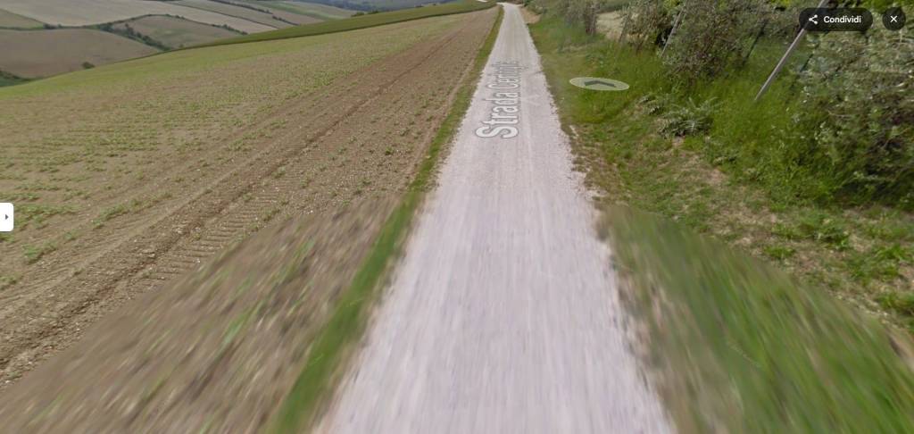 immagine annuncio 1 di 11