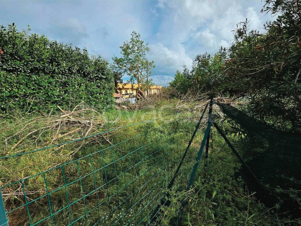 immagine annuncio 12 di 13
