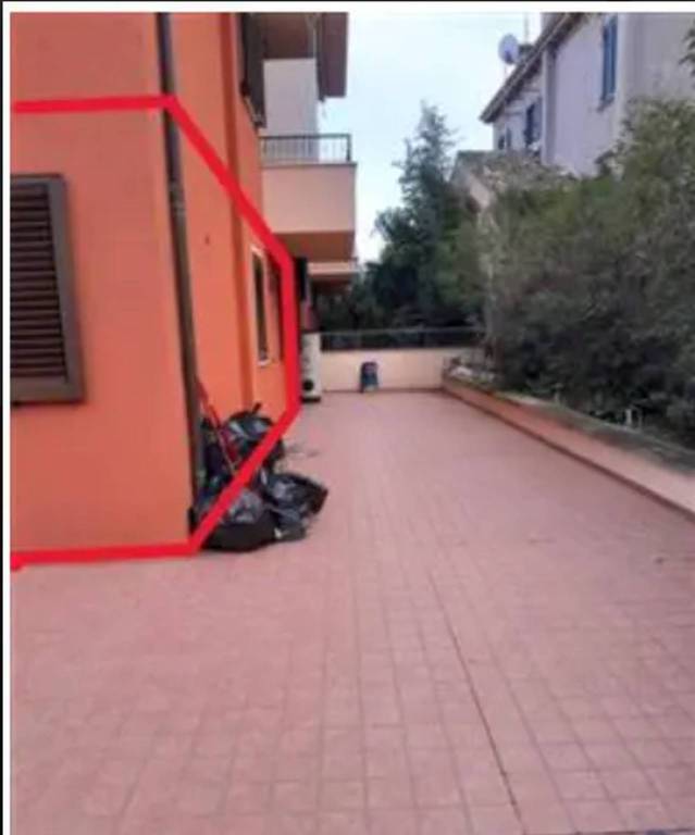immagine annuncio 2 di 9